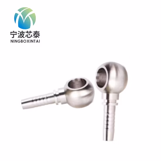 Hydraulische Schlauchverschraubung, metrische Banjo-Verschraubung