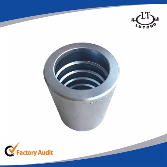 00401 China Lieferant Hydraulikschlauchanschluss und Hülse