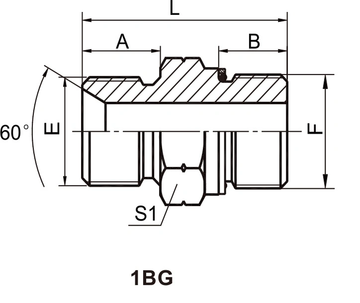 High Pressure Double Use Hydraulic British Adaptor Bsp Male Double Use for 60° Cone Seat or Bonded Seal/ Bsp Male 0-Ring Adapter-1bg